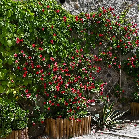 Casa Do Briamante 9 アパート *